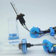 Headlight-HID Single Bulbs with special colors-yellow, green, pupur - LightingWay